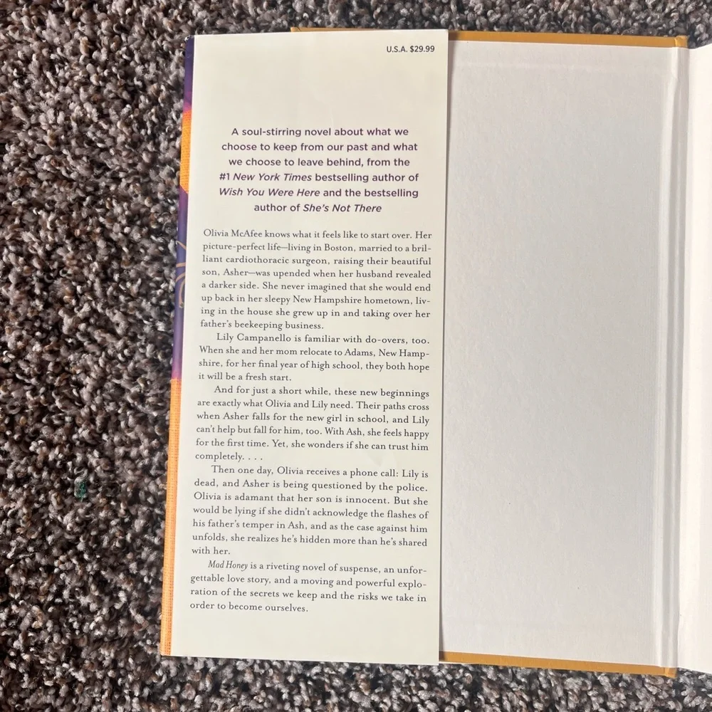 Mad Honey by Jodi Picoult & Jennifer Finney Boylan - Hardcover - Picture 3 of 4